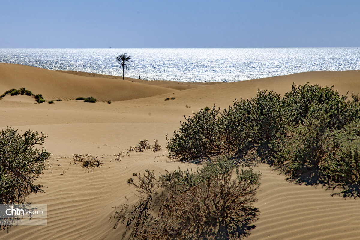 ساحل «دَرَک» بلوچستان؛ جایی که کویر و دریا در آغوش هم دیدنی میشود