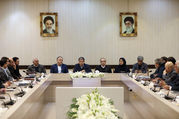 دهکده گردشگری سلامت نیر برای نخستین بار در کشور احداث می‌شود/ سرمایه‌گذاری ۱۲ هزار میلیارد تومانی در ۵ طرح شاخص گردشگری