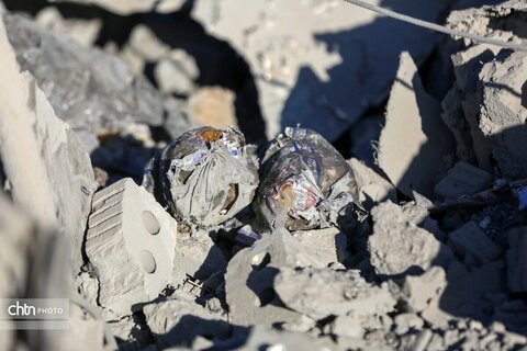 کمپ زیبا شهر شیراز