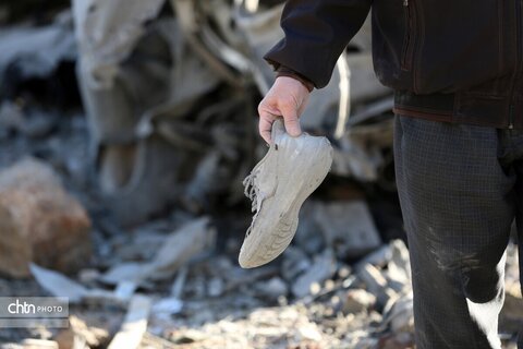 کمپ زیبا شهر شیراز