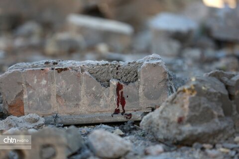 کمپ زیبا شهر شیراز