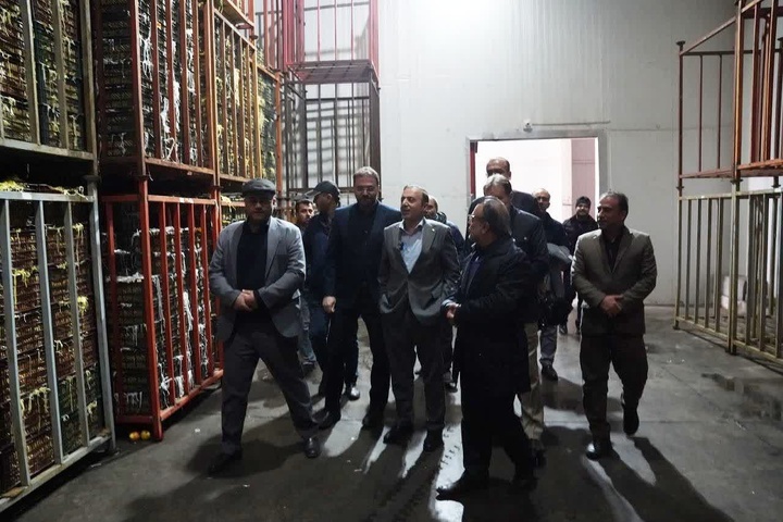 بازدید استاندار قزوین از انبارهای کالاهای استراتژیک و سردخانه‌های میوه تنظیم بازار