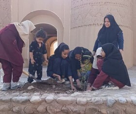 کاشت نهال به یاد دانش‌آموزان شهید میناب توسط دختران روستای جهانی شفیع آباد