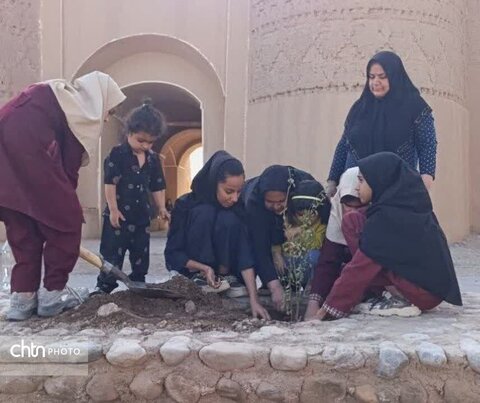 کاشت نهال به یاد دانش‌آموزان شهید میناب توسط دختران روستای جهانی شفیع آباد