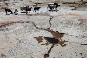 تپه نمکی "میر عمر" جاذبه ای طبیعی و منحصر به فرد