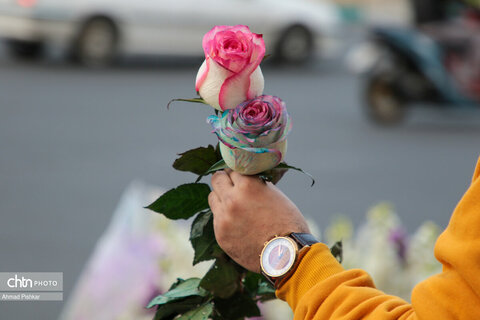 تهران، یک روز به نوروز...