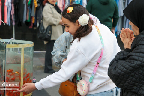 تهران، یک روز به نوروز...