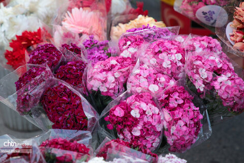 تهران، یک روز به نوروز...