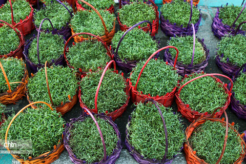 تهران، یک روز به نوروز...