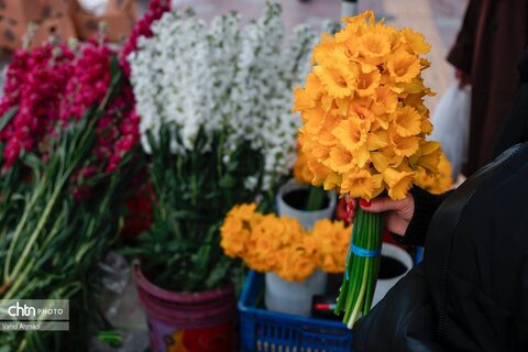 شور نوروزی و زندگی در بازار تجریش در روزهای بی‌قرار تهران