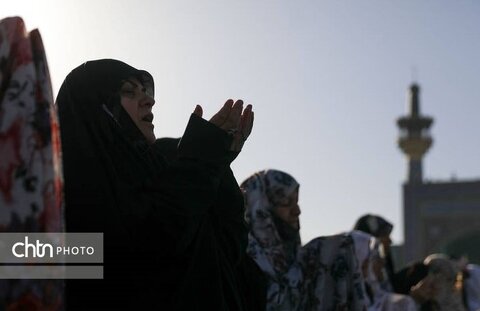 شکوه بندگی در جوار حضرت علی ابن موسی الرضا (ع)