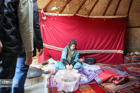 نظارت بر ارائه خدمات به مسافران نوروزی در مرکز استان اردبیل