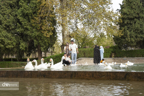 شازده 2فروردین