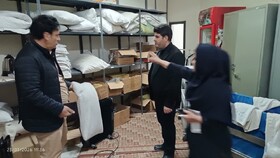 بازدید معاون گردشگری لرستان از هتل‌ها و مهمان‌پذیرهای بروجرد