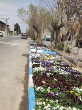 زیباسازی شهری جلیل‌آباد با کاشت گل‌های فصلی برای نوروز ۱۴۰۵