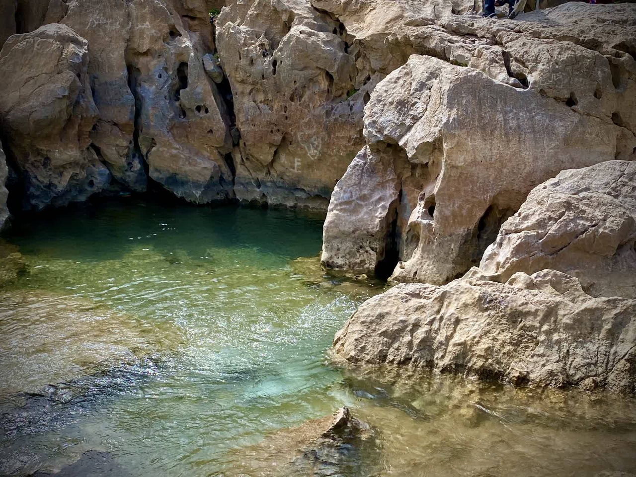 جانی دوباره در رگ‌های چشمه غربالبیز مهریز