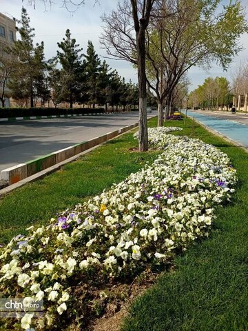 زیبایی های بهاری .المان های شهری در مشهدالرضا (ع)