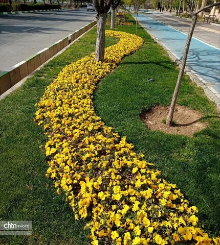 زیبایی های بهاری .المان های شهری در مشهدالرضا (ع)