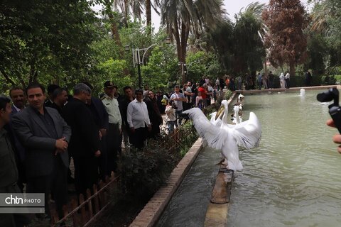 طبس