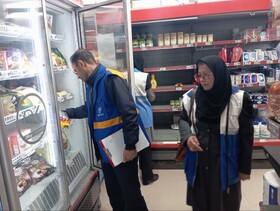 بازدید از مراکز پذیرایی و اقامتی شهرستان سلطانیه