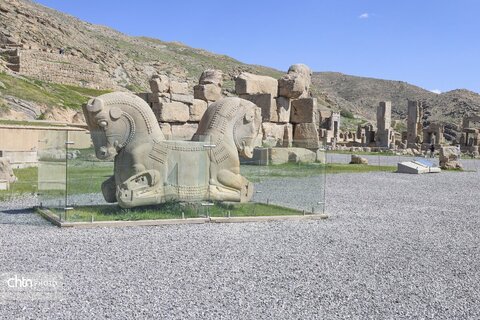 بازدید میدانی استاندار فارس از تخت جمشید