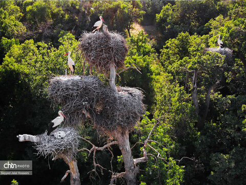 چرا به کردستان سفر کنیم؟