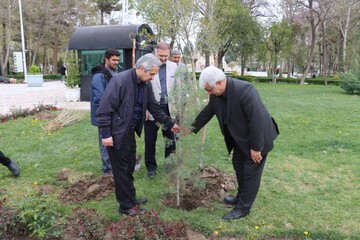 کاشت نهال‌های امید در آرامگاه فردوسی به یاد شهدای جنگ رمضان