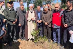 کاشت نهال در طبیعت سبز مازندران