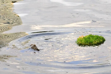 سیزده‌بدر؛ روز رهایی از تاریکی و جشن امید به آینده