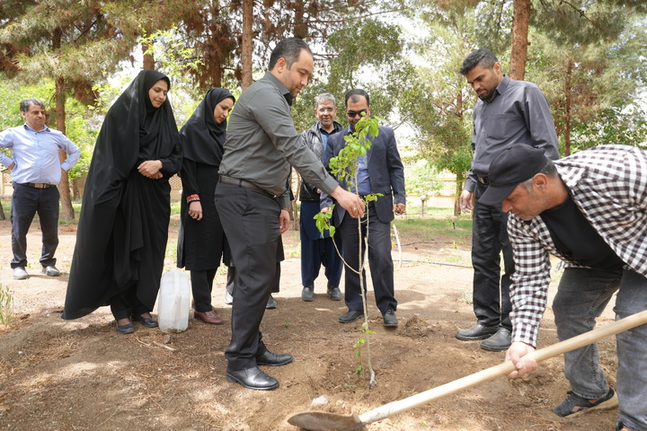 کاشت نهال بیاد رهبر شهیدانقلاب در موزه منطقه‌ای جنوب‌شرق