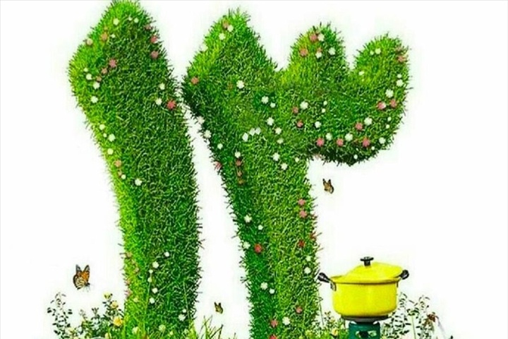 ۱۳ به‌در؛ پناهی کوتاه در جهان ناآرام