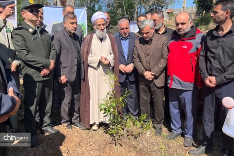 کاشت نهال در طبیعت سبز مازندران