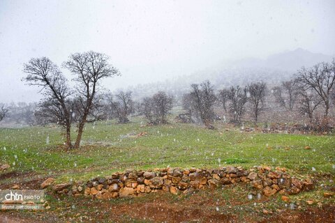 ارتفاعات کردستان