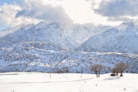 ارتفاعات کردستان