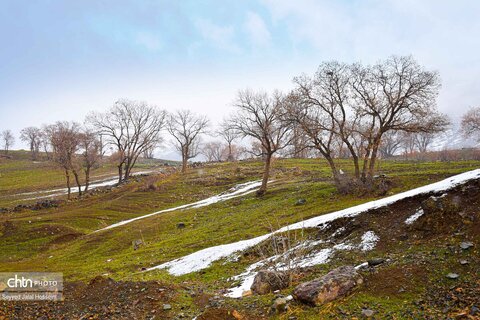 ارتفاعات کردستان