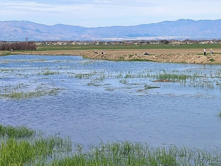 حال خوب تالاب پیرسلمان اسدآباد پس از بارش‌های بهاری 