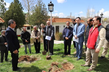 کاشت سه اصله نهال یادبودی در محوطه هتل جهانگردی زنجان