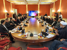 نشست مشترک صالحی‌امیری با اعضای کمیسیون فرهنگی مجلس شورای اسلامی