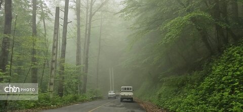 رقص قطره‌ها در دل سبزه‌زار گلستان