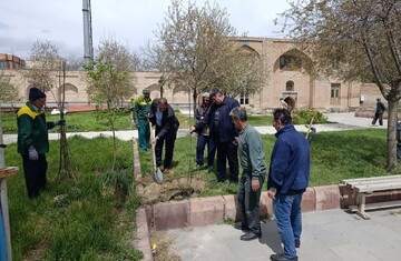غرس ۱۰۰ اصله نهال در محوطه بقعه تاریخی شیخ کلخوران اردبیل