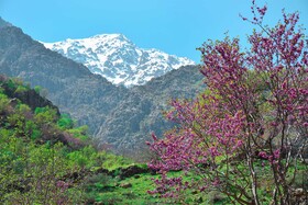 دیوزناو، روستایی رویایی در کوهستان شاهو