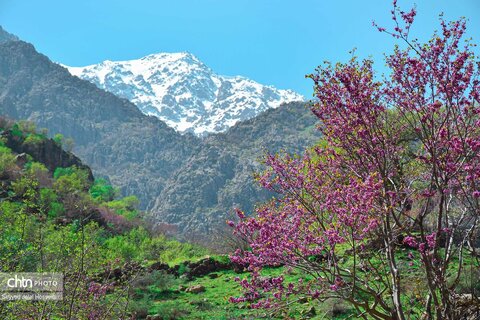 دیوزناو، روستایی رویایی در کوهستان شاهو