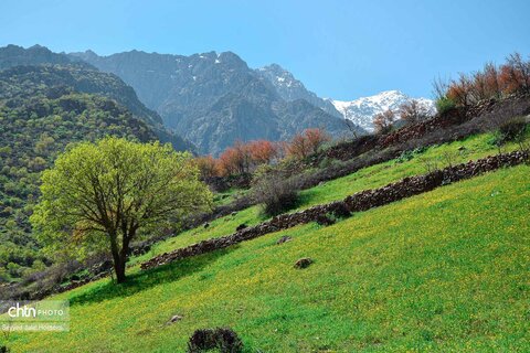 دیوزناو، روستایی رویایی در کوهستان شاهو