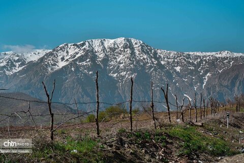 دیوزناو، روستایی رویایی در کوهستان شاهو
