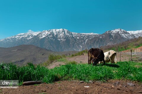 دیوزناو، روستایی رویایی در کوهستان شاهو