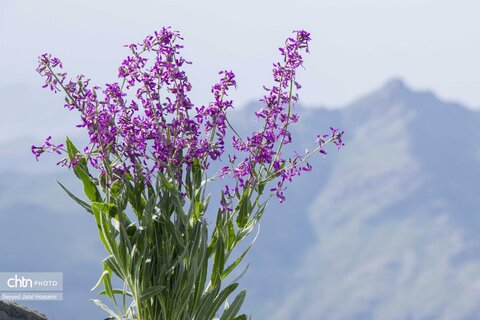 بانه، مقصدی متفاوت برای سفر