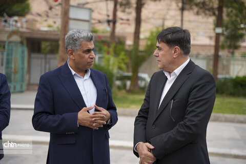 ملک سلیمانی