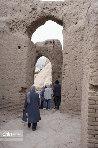 ملک سلیمانی