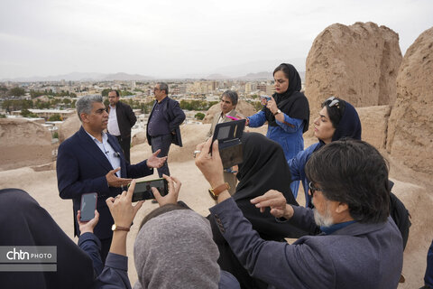 ملک سلیمانی