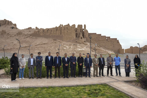 ملک سلیمانی